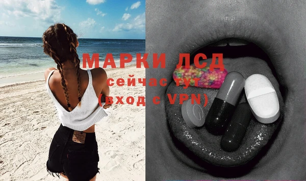 PSILOCYBIN Липки