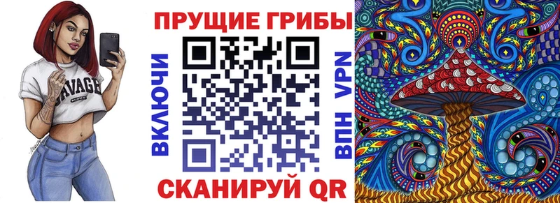 Псилоцибиновые грибы мухоморы  MEGA онион  Нижний Новгород  как найти закладки 