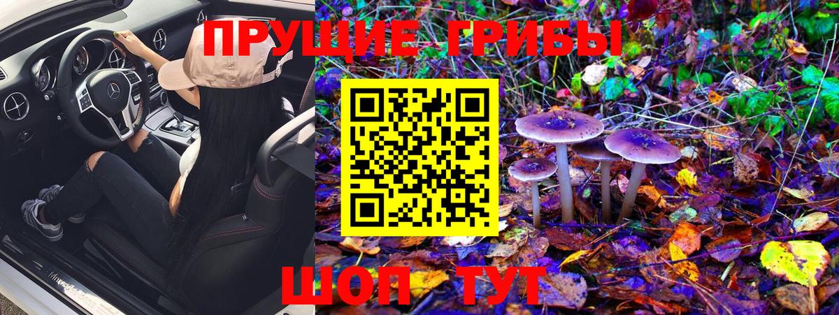 Псилоцибиновые грибы ЛСД Нижний Новгород